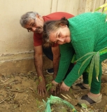 Plantation Drive at ICON
