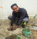 Plantation Drive at ICON