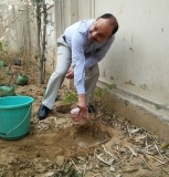 Plantation Drive at ICON