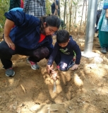 Plantation Drive at ICON