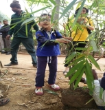 Plantation Drive at ICON