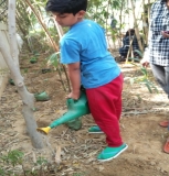 Plantation Drive at ICON