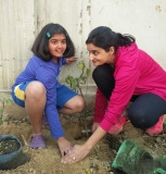 Plantation Drive at ICON