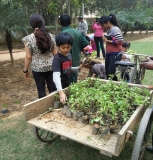 Plantation Drive at ICON