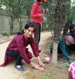 Plantation Drive at ICON