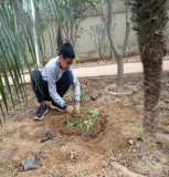 Plantation Drive at ICON