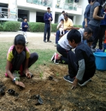Plantation Drive at ICON