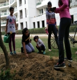 Plantation Drive at ICON