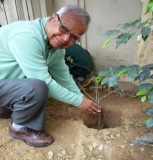 Plantation Drive at ICON