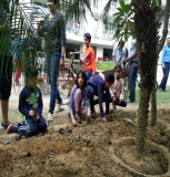 Plantation Drive at ICON