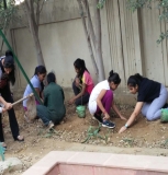 Plantation Drive at ICON