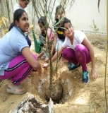 Plantation Drive at ICON