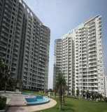 Icon Condominium Association