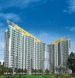 Icon Condominium Association