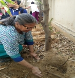 Plantation Drive at ICON