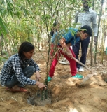 Plantation Drive at ICON