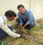 Plantation Drive at ICON