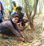 Plantation Drive at ICON