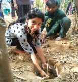 Plantation Drive at ICON